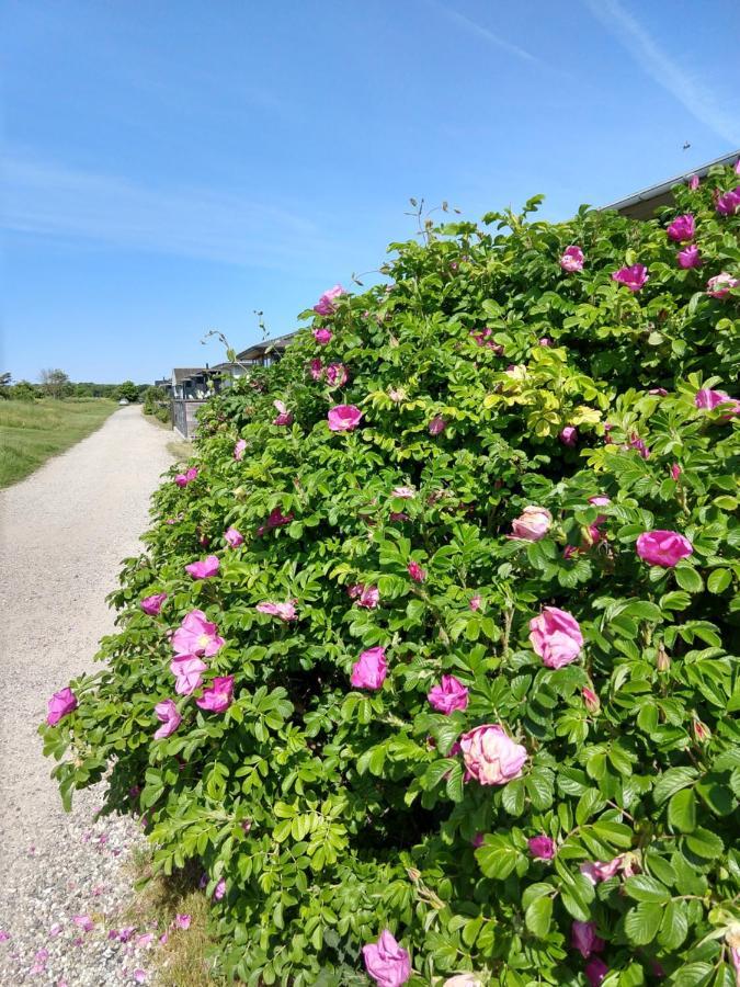 In Danmark -petersminde Exclusive Apartment